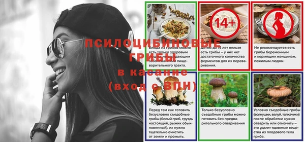 ALPHA PVP Алексин